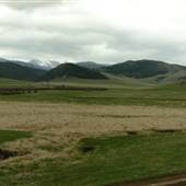 Iddle Ranch