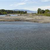 Sheep Mountain River Access