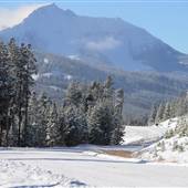 Beehive Basin Road