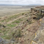 First People's Buffalo Jump State Park