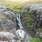 Galt Ranch Falls