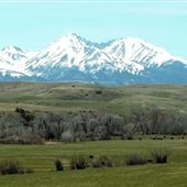 Green Mountain Angus Ranch