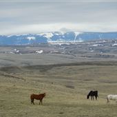 Bozeman Trail Road Ranch