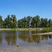 Maclay Flats