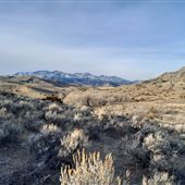 Grosfield Ranch : 2025