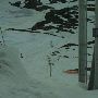 Beartooth Basin Ski Area