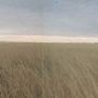 Augusta CRP field