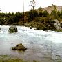 Flathead River