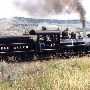 Nevada City Rail