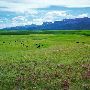 Rocky Mountain Front