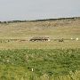 First People's Buffalo Jump State Park (Archival)