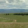 Rock Creek Road