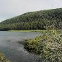 Salmon Lake