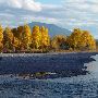 Fall Colors