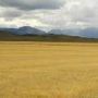 Rocky Mountain Front