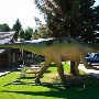 Choteau Museum