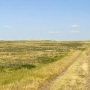 Sheilds River Refuge Road