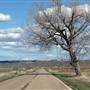 Highway 313