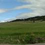 Iddle Ranch