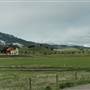 Jackson Creek Road (Spring)