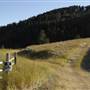 Ridgeway Property