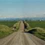 Walker Road