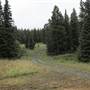 Crosscut Mountain Sports Center - (formerly Bohart Ranch)