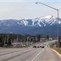 Whitefish
