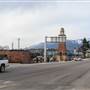 Whitefish