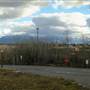 Whitefish