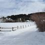 Bear Canyon Road (Winter : Road, Farms, & Houses)