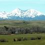 Green Mountain Angus Ranch