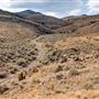 Rochester High Desert