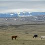 Bozeman Trail Road Ranch