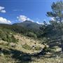 Pioneer Ranch