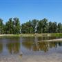 Maclay Flats