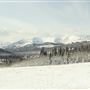 Cut Bank Creek Valley and Overlooks