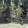 Marysville Mine : 2025