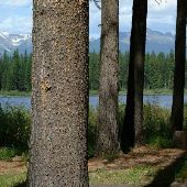 Seeley Lake