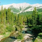 Teton River