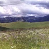 Engle Ranch