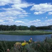 Marias River & Coulee