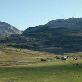Apex Angus Ranch