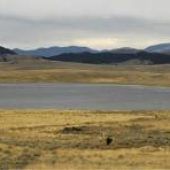 Gravelly Lake