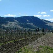 Ten Spoon Vineyard and Winery