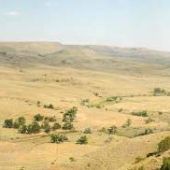 Grewell Ranch