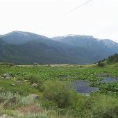 Lily Pad Lake