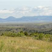 Little Rocky Mountans