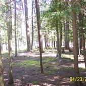 Yaak Campground