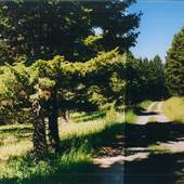 Deep Creek Canyon Road